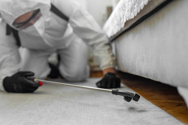 Professional Termite Control technician working in Sunset, LA