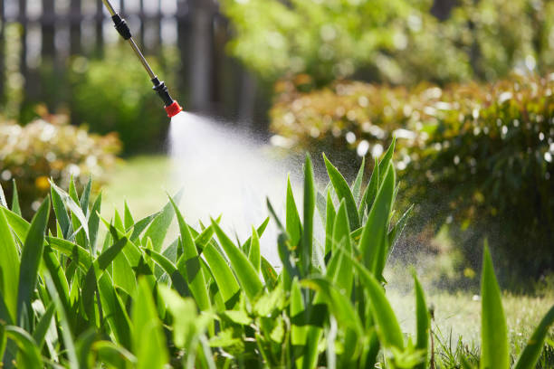 24/7 Emergency Termite Control experts in Sunset, LA